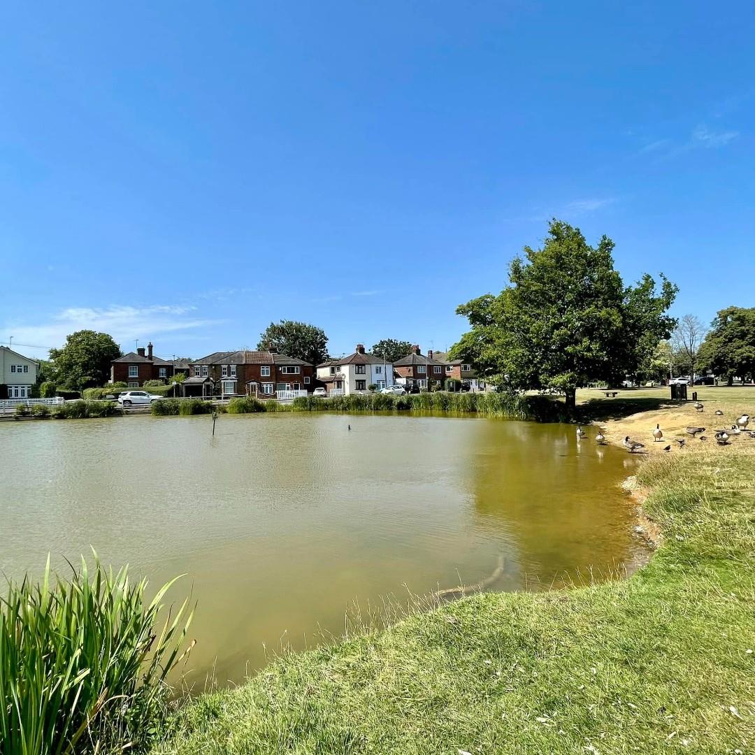 Shenfield common .jpg